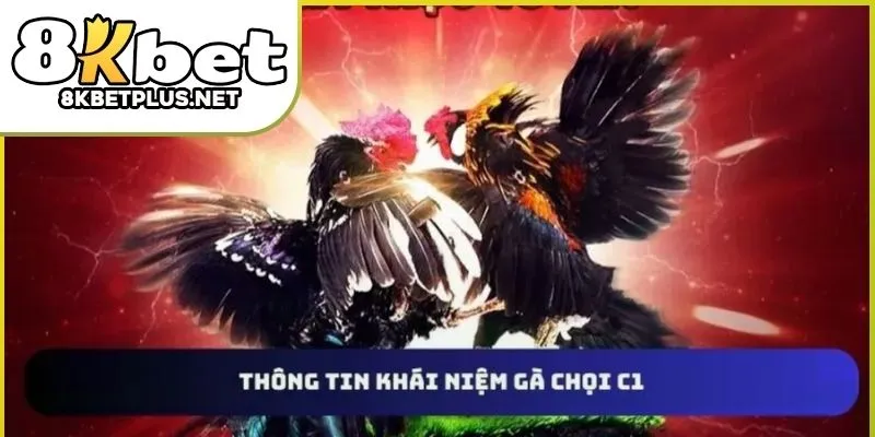 da-ga-c1-8kbet-03