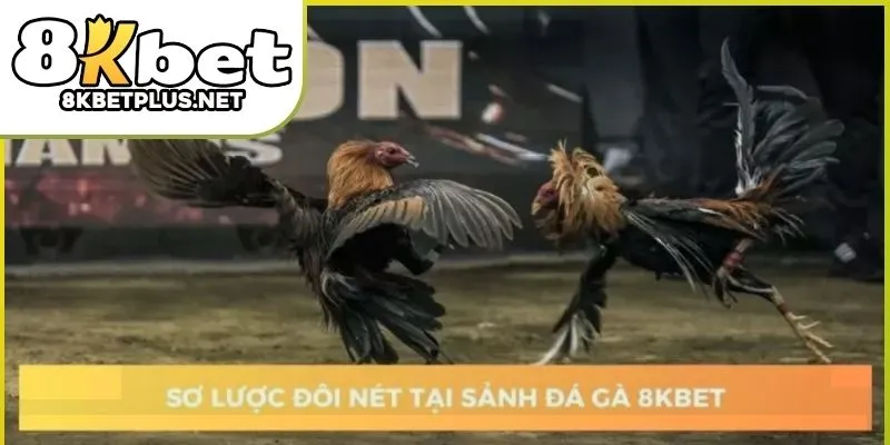da-ga-thomo-8kbet-01