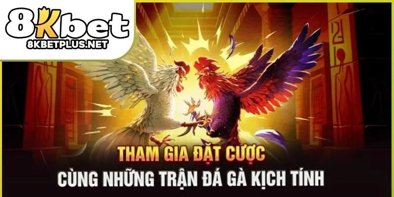 da-ga-thomo-8kbet