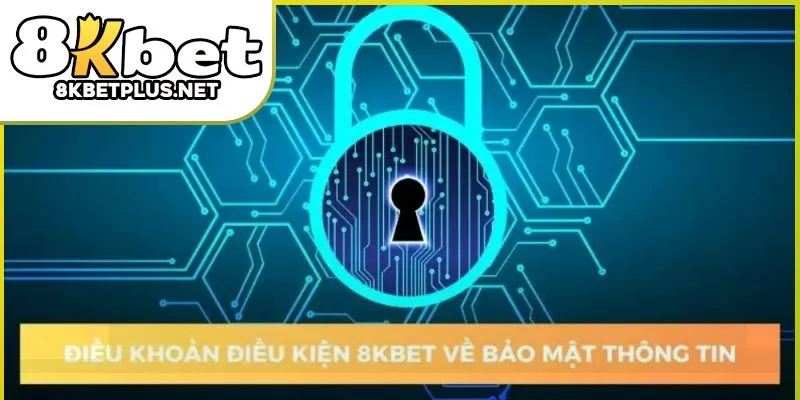 dieu-khoan-8kbet-02