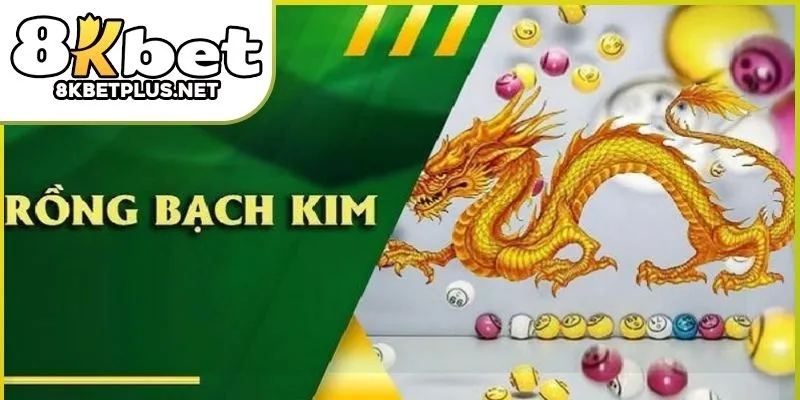 rong-bach-kim-777-8kbet-03
