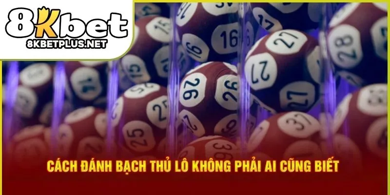 soi-cau-bach-thu-lo-vip-8kbet-01